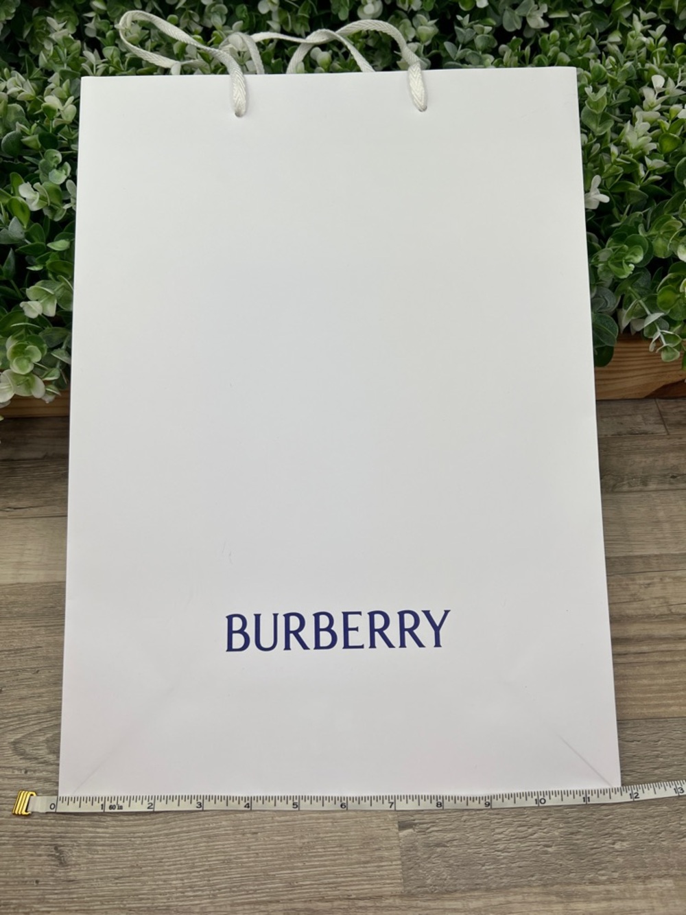 Burberry Authentic Classic Gift Bag / Shopping Bag - Picture 10 of 12